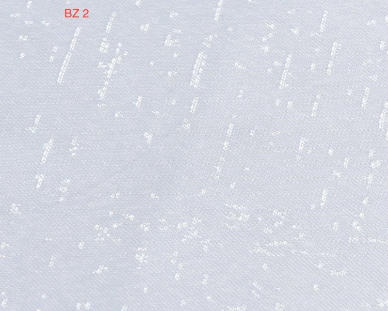 bz02a.jpg