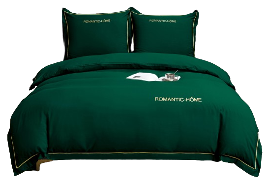 2762-removebg-preview (1).png